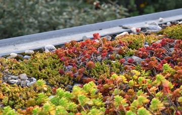 the cost of Atwick green roof installation
