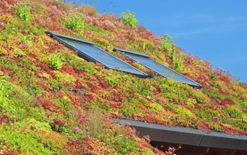 Atwick living roof systems